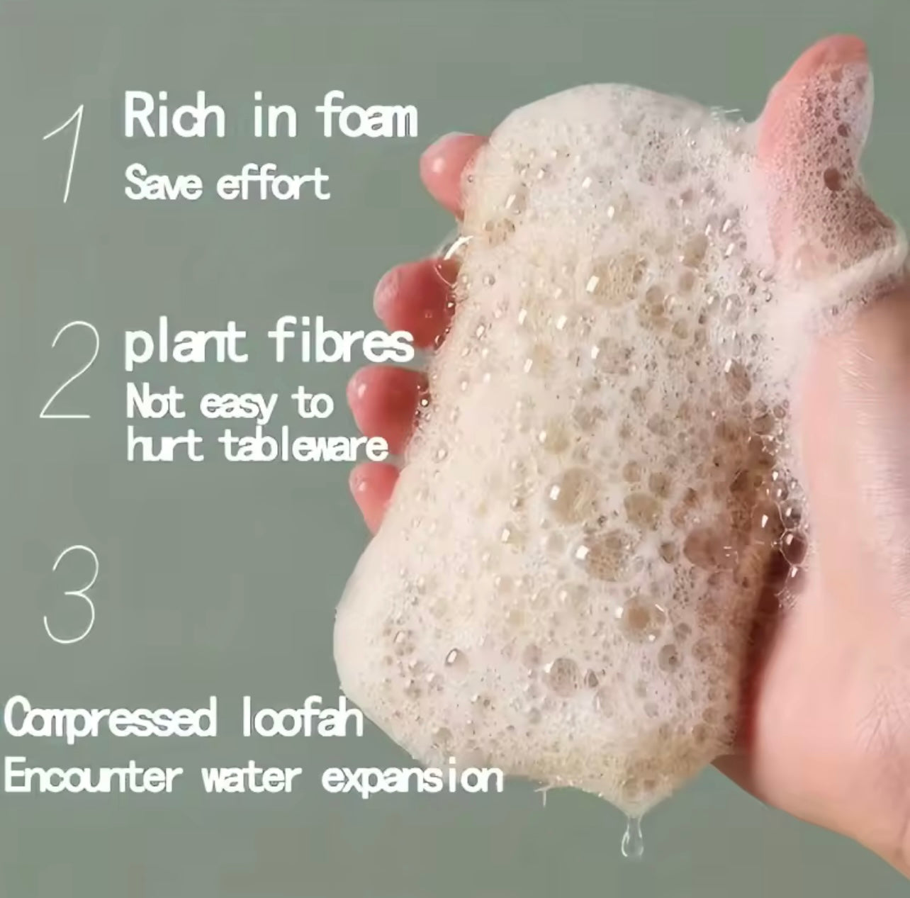 Exfoliating Sponges