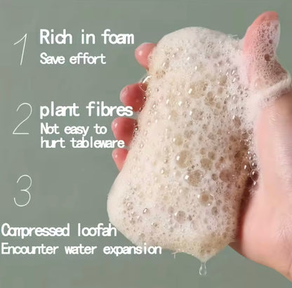 Exfoliating Sponges